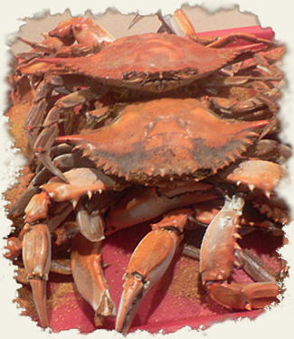 crabs dusted with cajun spices 
